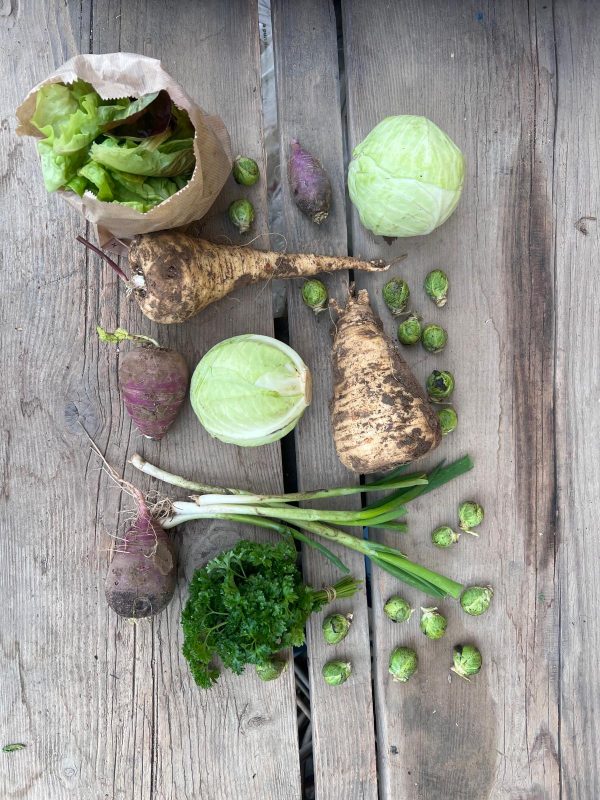 WhatsApp Bild 2025-12-12 um 09.05.22_7fadd2a6