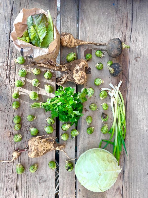 WhatsApp Bild 2025-12-12 um 09.05.24_f4921cf6